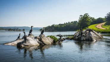 Top 10 Must-Visit Tourist Destinations in Uganda
