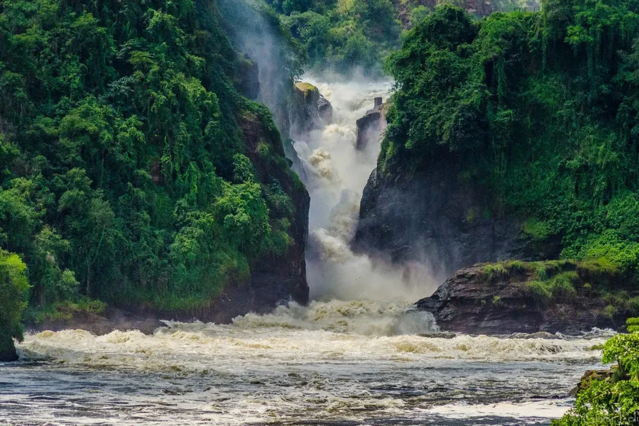 3 DAYS MURCHISON FALLS SAFARI